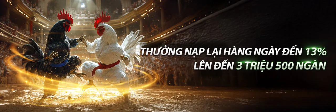 Banner trang Blog vl88 code với hình ảnh cá cược thể thao và casino sôi động
