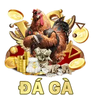 Khuyến mãi và ưu đãi